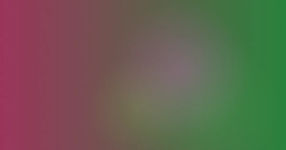 外国黄色片攻略：四类内容横向比较